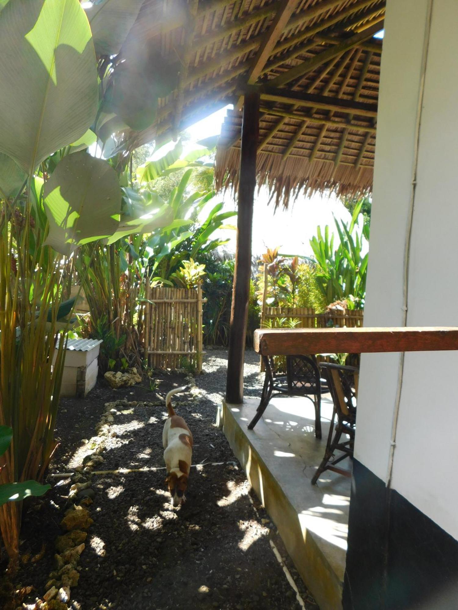 Batukaras Rnv Eco Resort Bungalows מראה חיצוני תמונה